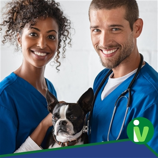 Programa de imersão - Um final de semana no Hospital Veterinário Florianópolis