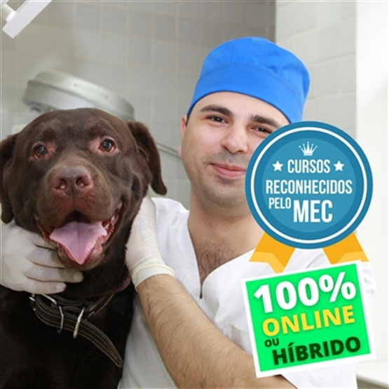 Flávia coelho - Diretora de Pesquisa - Hospital Veterinário