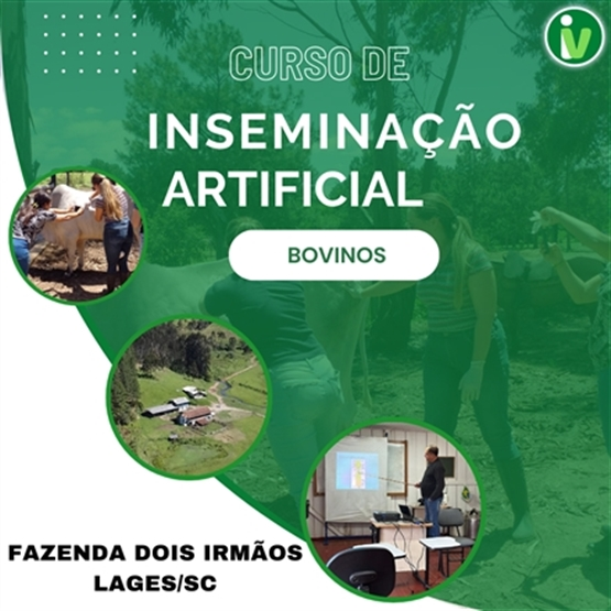 Inseminação Artificial - Bovinos